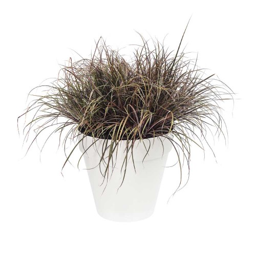 ELHO LOFT URBAN DONICZKA 20CM BIAŁA
