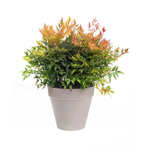 ELHO LOFT URBAN DONICZKA 25CM CIEMNO SZARA