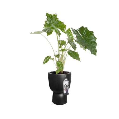 ELHO PURE COUPE 35CM DONICA CZARNA