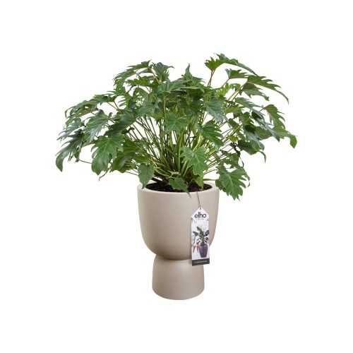 ELHO PURE COUPE 41CM DONICA BEŻ