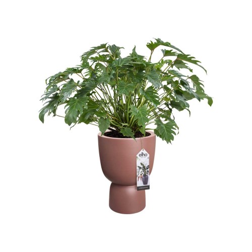 ELHO PURE COUPE 41CM DONICA RÓŻOWY BRĄZ
