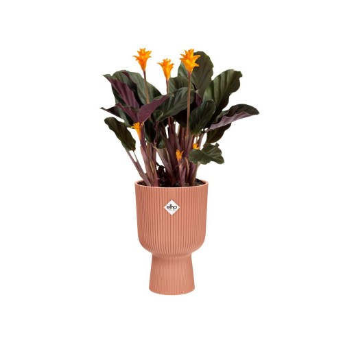 ELHO VIBES FOLD COUPE 14CM OSŁONKA DELIKATNY RÓŻOWY