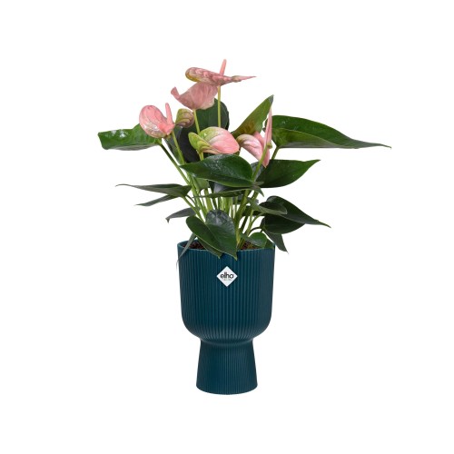 ELHO VIBES FOLD COUPE 14CM OSŁONKA GRANATOWA