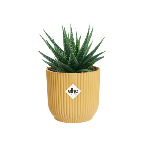 ELHO VIBES FOLD ROUND MINI 7CM OSŁONKA ŻÓŁTA