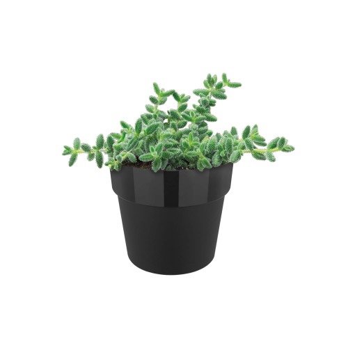 ELHO B.FOR ORIGINAL OKRĄGŁA OSŁONKA 16CM CZARNA