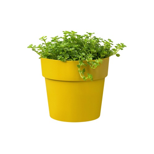ELHO B.FOR ORIGINAL MINI OKRĄGŁA OSŁONKA 11CM ŻÓŁTA