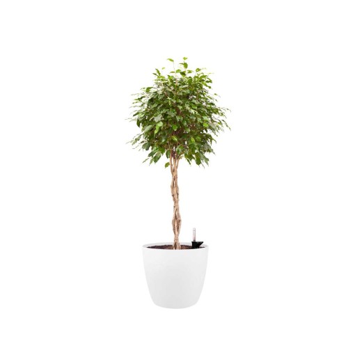 ELHO BRUSSELS OSŁONKA OKRĄGŁA 24CM BIAŁA